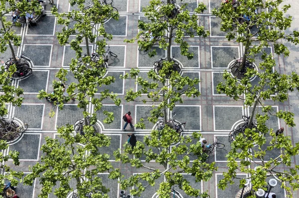 Zeil in Frankfurt met platanen — Stockfoto