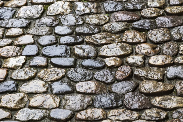 石畳の石の道 — ストック写真