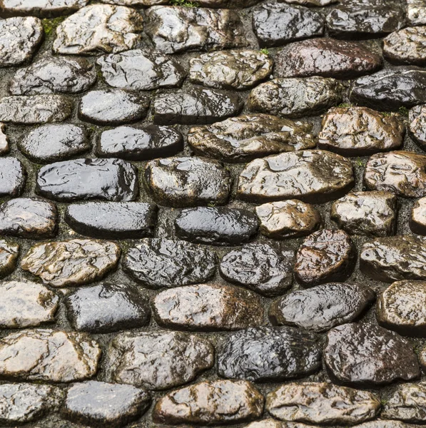 Cobble kamień drogowy — Zdjęcie stockowe