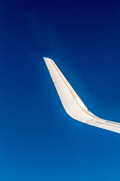 Wing and wingtip device — Stock Photo, Image