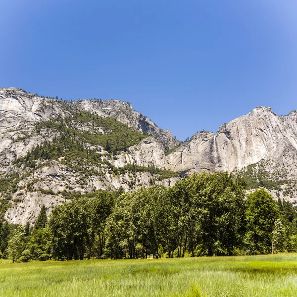 Landschap van bergen en weide in Yosemite National Park met — Stockfoto