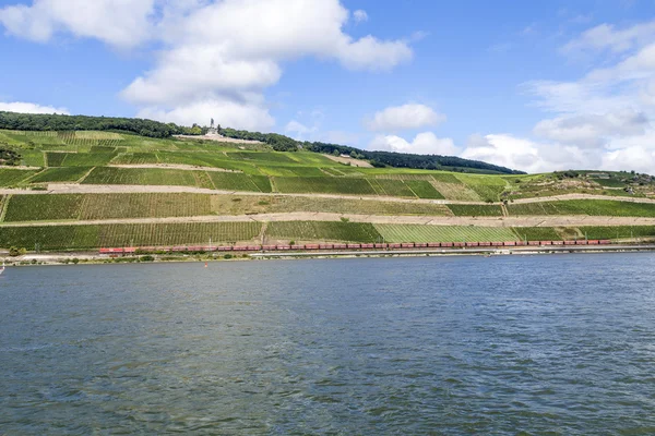 Schöne Weinberge am Rheintal in Rüdesheim mit Trai — Stockfoto