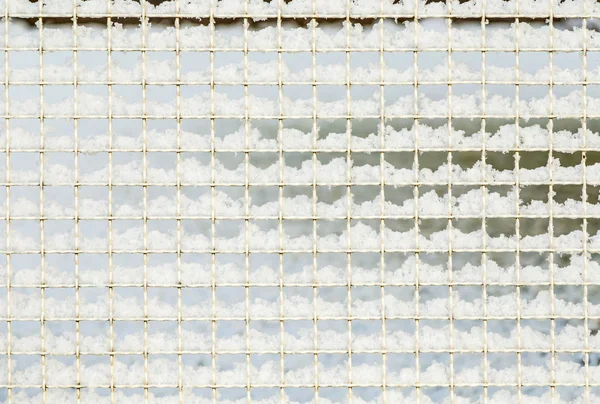 雪の覆われたフェンス — ストック写真
