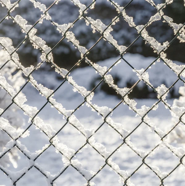 Cerca coberta de neve — Fotografia de Stock