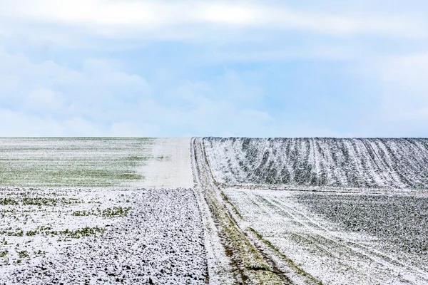 Campos congelados en invierno en Baviera —  Fotos de Stock