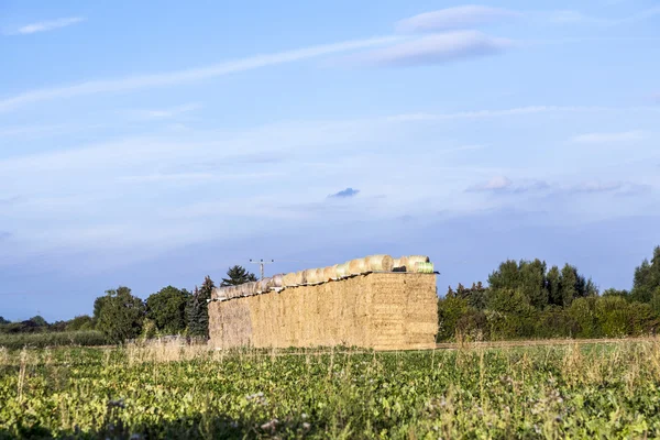 Baal stro in de herfst — Stockfoto