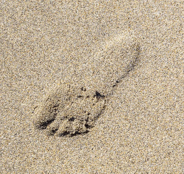 Menselijke voetstap in het zand van het strand — Stockfoto