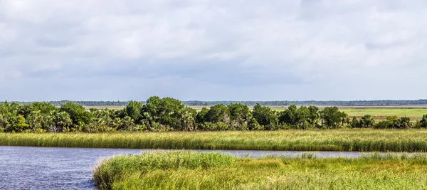 Terra do pântano em Apalachicola com grama de junco — Fotografia de Stock