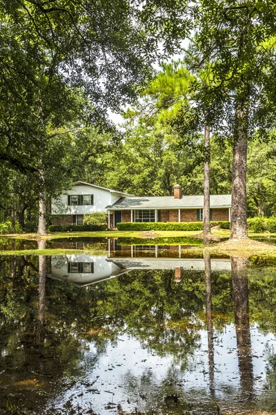 Villa in swamp area gives a harmonic mirroring picture in the wa — стоковое фото