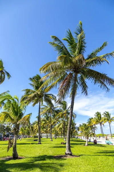 Människor avkopplande på vackra Miami Beach — Stockfoto