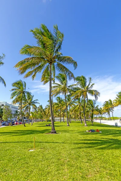 Pessoas relaxando na bela Miami Beach — Fotografia de Stock