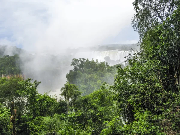 Iguassu waterfall in south america tropical jungle — Stock Photo, Image