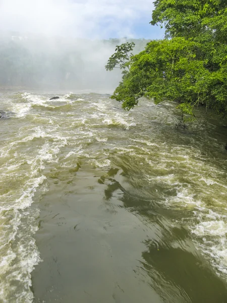 Iguassu waterval in Zuid-Amerika tropische jungle — Stockfoto