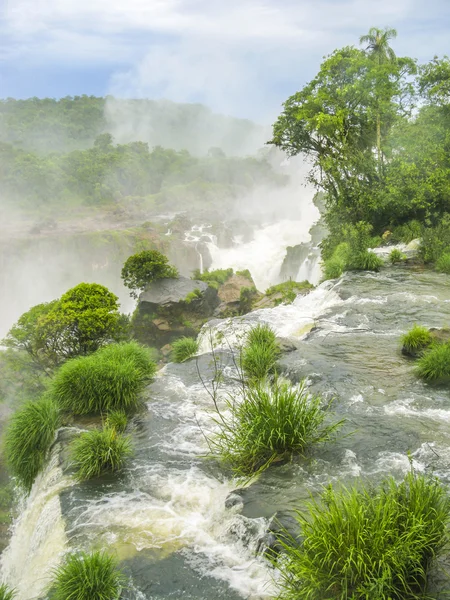 Iguassu waterfall in south america tropical jungle — Stock Photo, Image