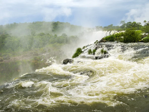 中南美洲热带丛林的伊瓜苏大瀑布 — 图库照片