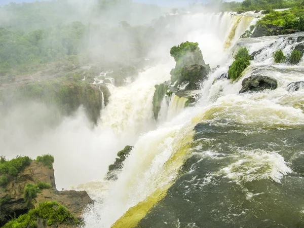 Cascada de Iguazú en la selva tropical de Sudamérica —  Fotos de Stock
