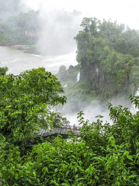 Cascada de Iguazú en la selva tropical de Sudamérica —  Fotos de Stock