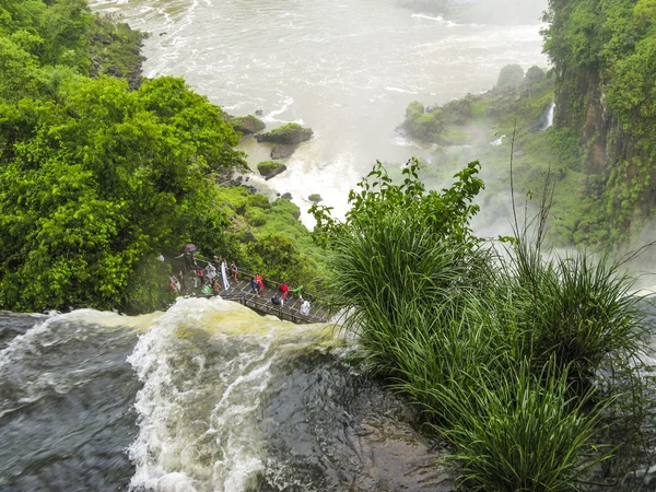 Cascada de Iguazú en la selva tropical de Sudamérica —  Fotos de Stock