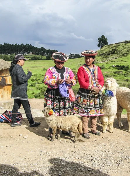 Indisk kvinna poserar med en lama för turister i Cuzco — Stockfoto