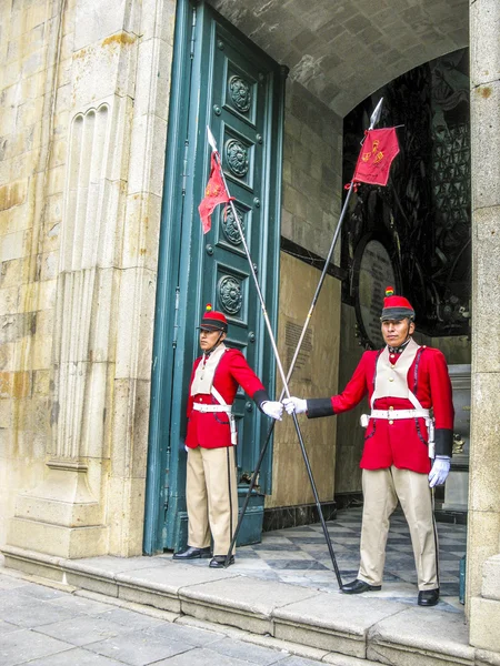 Guard at the legislative Palace — Stock Photo, Image