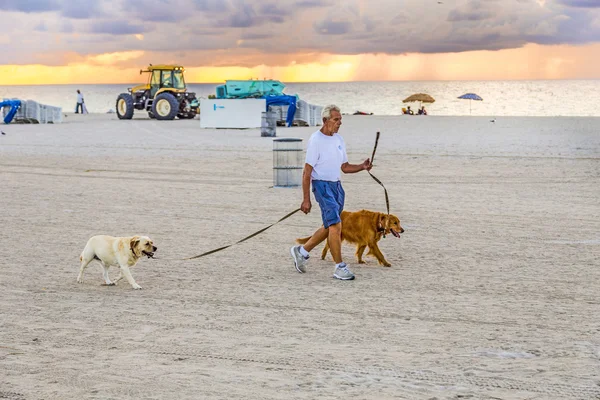 Man i sena eftermiddagen går längs södra stranden med sin hund — Stockfoto