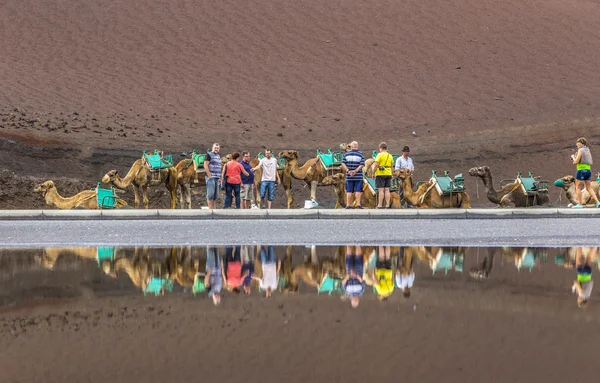 Karavana velbloudů turisty v národním parku Timanfaya — Stock fotografie