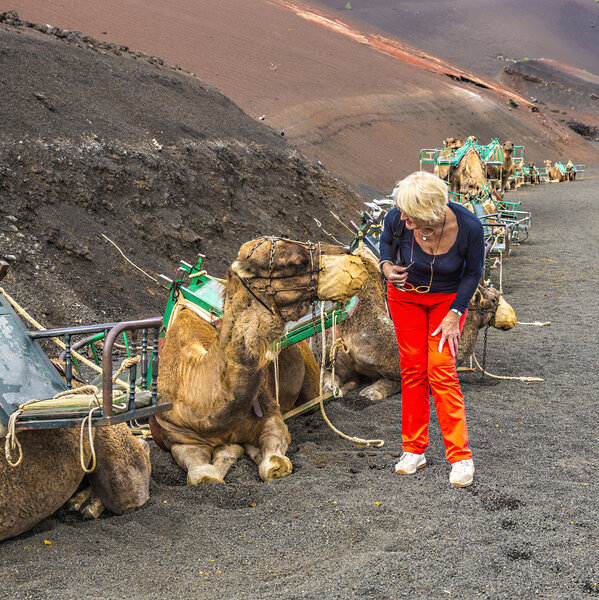 woman ejnjoys looking to camels for a camel ride