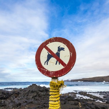 sahilinde bir köpek iz yok