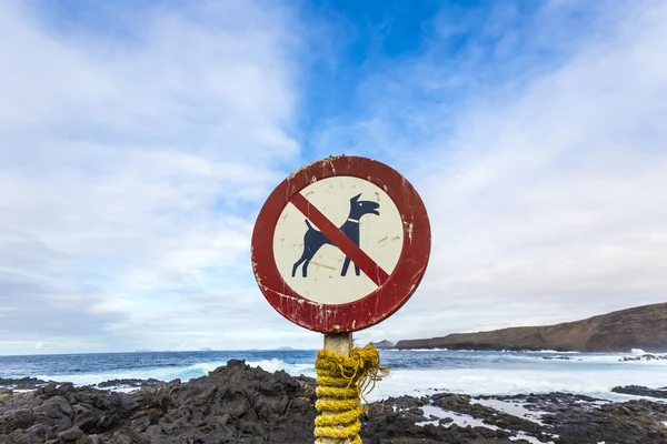 No dog sign at the coast — Stock Photo, Image