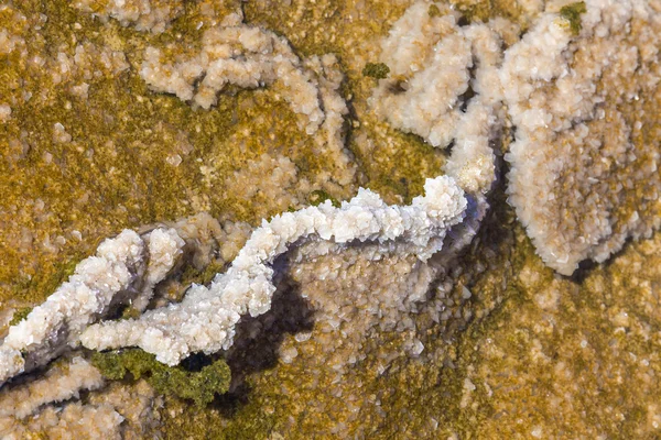生理食塩水デ janubio 塩堆積盆の詳細 — ストック写真