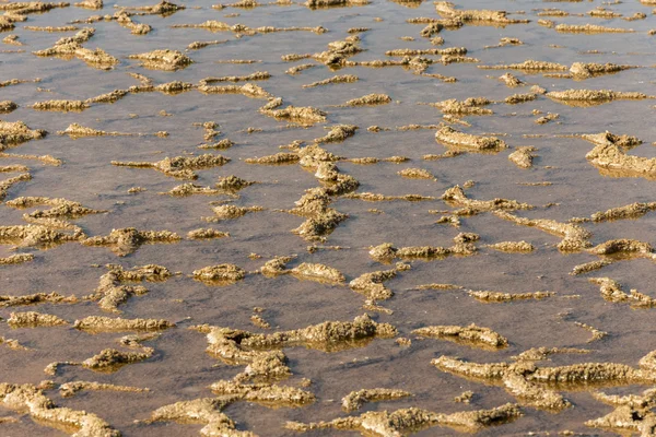 Détail des bassins salins dans la solution saline de Janubio — Photo