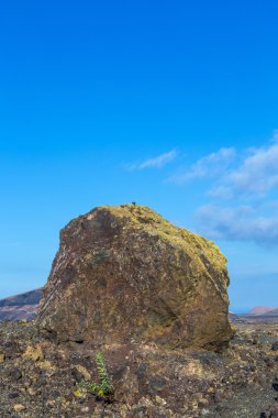 Volkanik yanardağ Lanzarote Montana Colorada önünde bomba,