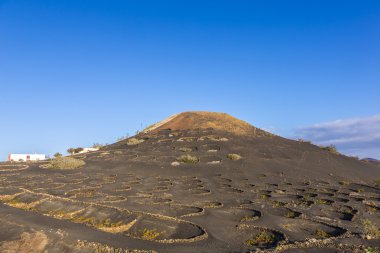 La Geria, Timanfaya Milli Parkı'nın yanardağ