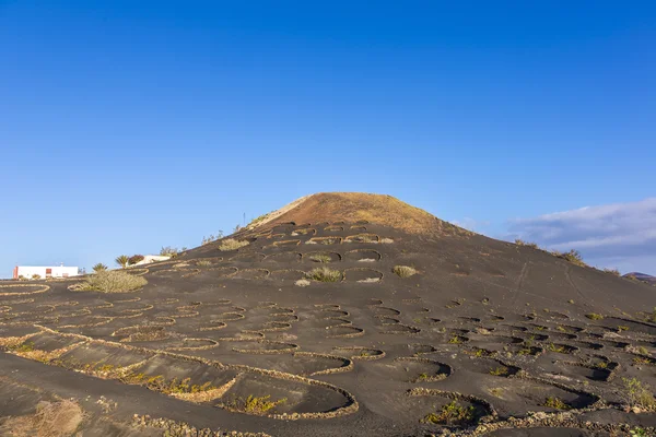 Vulkán La Geria, Timanfaya Nemzeti Park — Stock Fotó