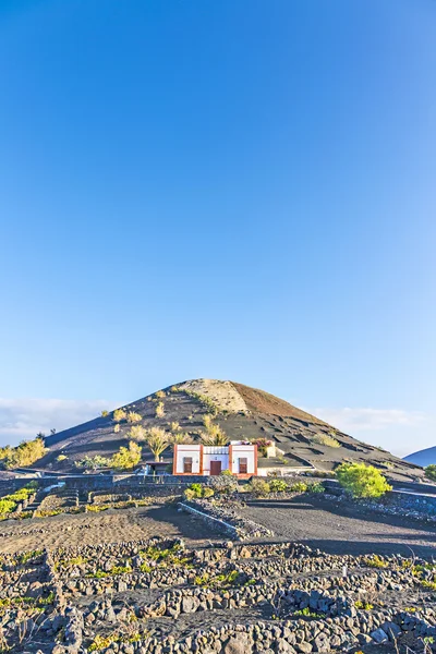 Vinice v La Geria, Lanzarote, Kanárské ostrovy — Stock fotografie