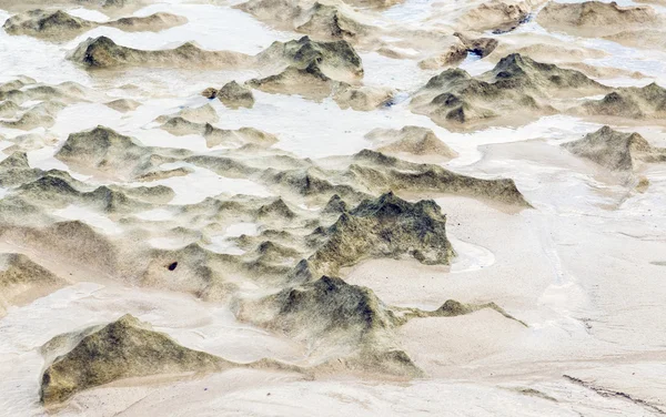 Beach dunes created by the low tide — Stock Photo, Image