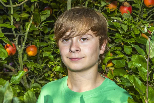 Leuke slimme jongen in de tuin onder de boom — Stockfoto