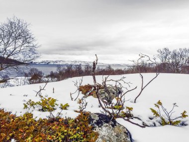 Norveç'te kar altında manzara 
