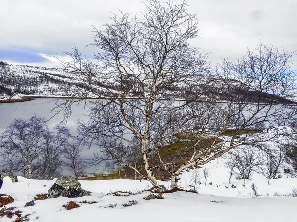 Paisagem na Noruega sob neve — Fotografia de Stock