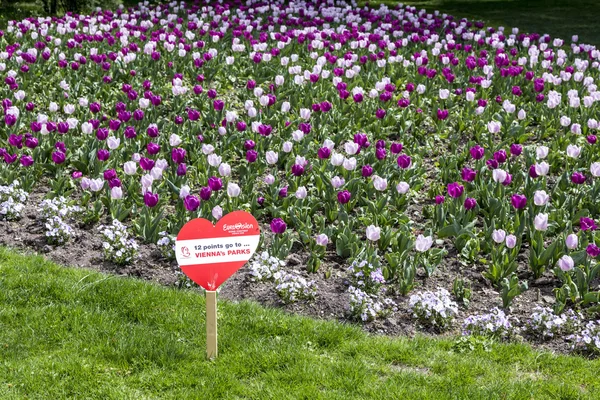 Heart shape in the park with tulips and 12 points for vienna — Stock Photo, Image