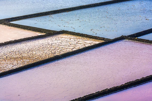 Detail of salt basin in saline — Stock Photo, Image