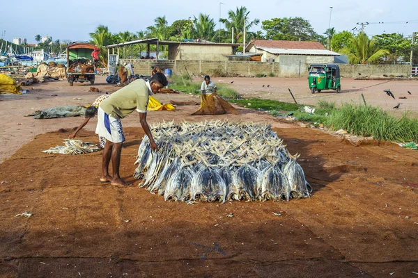 Fisherman staples fish at the beach — Stock Photo, Image