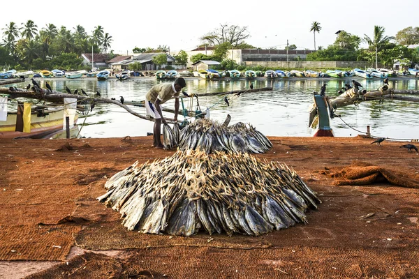 Fisherman staples fish at the beach — Stock Photo, Image