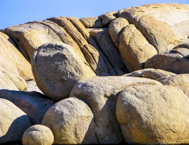 joshua tree national Park Manzaralı jumbo kaya