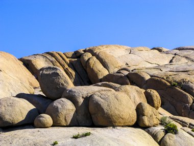 joshua tree national Park Manzaralı jumbo kaya