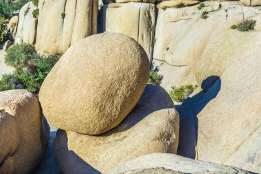 joshua tree national Park Manzaralı jumbo kaya