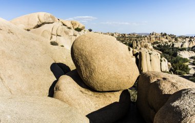 joshua tree national Park Manzaralı jumbo kaya