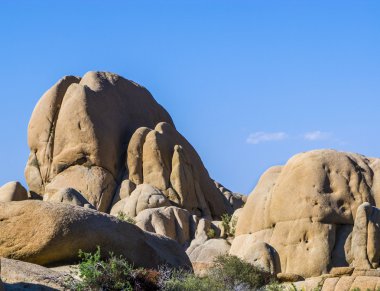 Maltepe taşlarla joshua tree national Park
