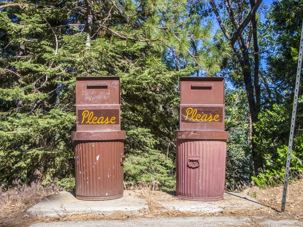 Portée garçon dans le parc national de séquoia — Photo