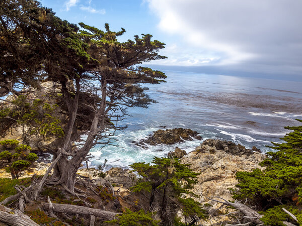 View of rocky cliffs above the Pacific Ocean at Point Lobos Stat